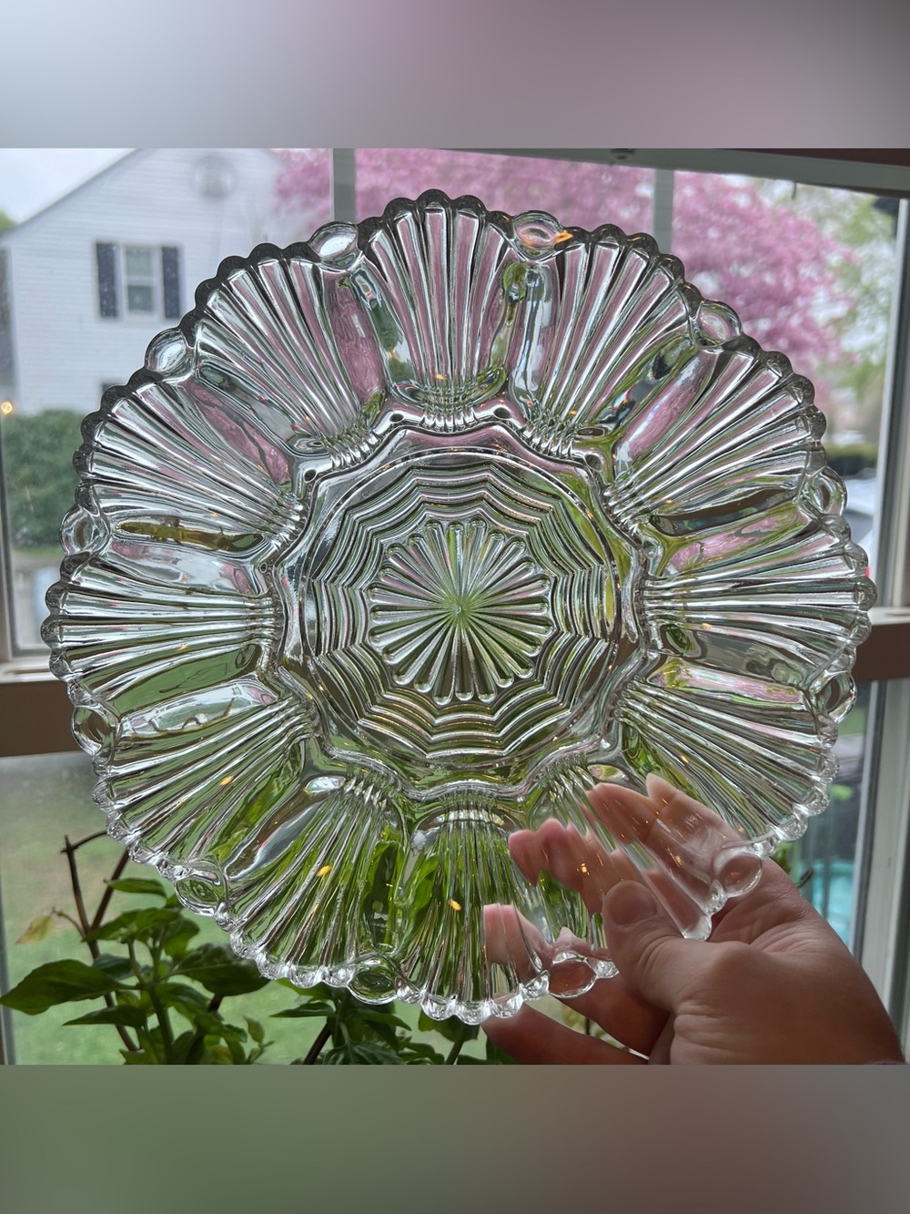 VTG Anchor Hocking Clear Glass 10” Deviled Egg Oyster Plate Dish